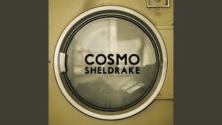 Cover art for the moss