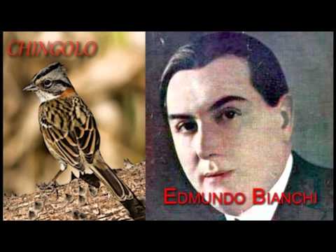 Ya no cantas chingolo - Enrique Rodríguez c. Armando Moreno (1943)