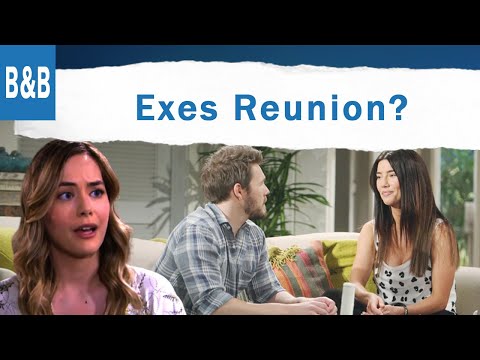 Bold and the Beautiful Spoilers: Liam Drifts Back To Steffy, Hope Ends Up With Her Own Ex