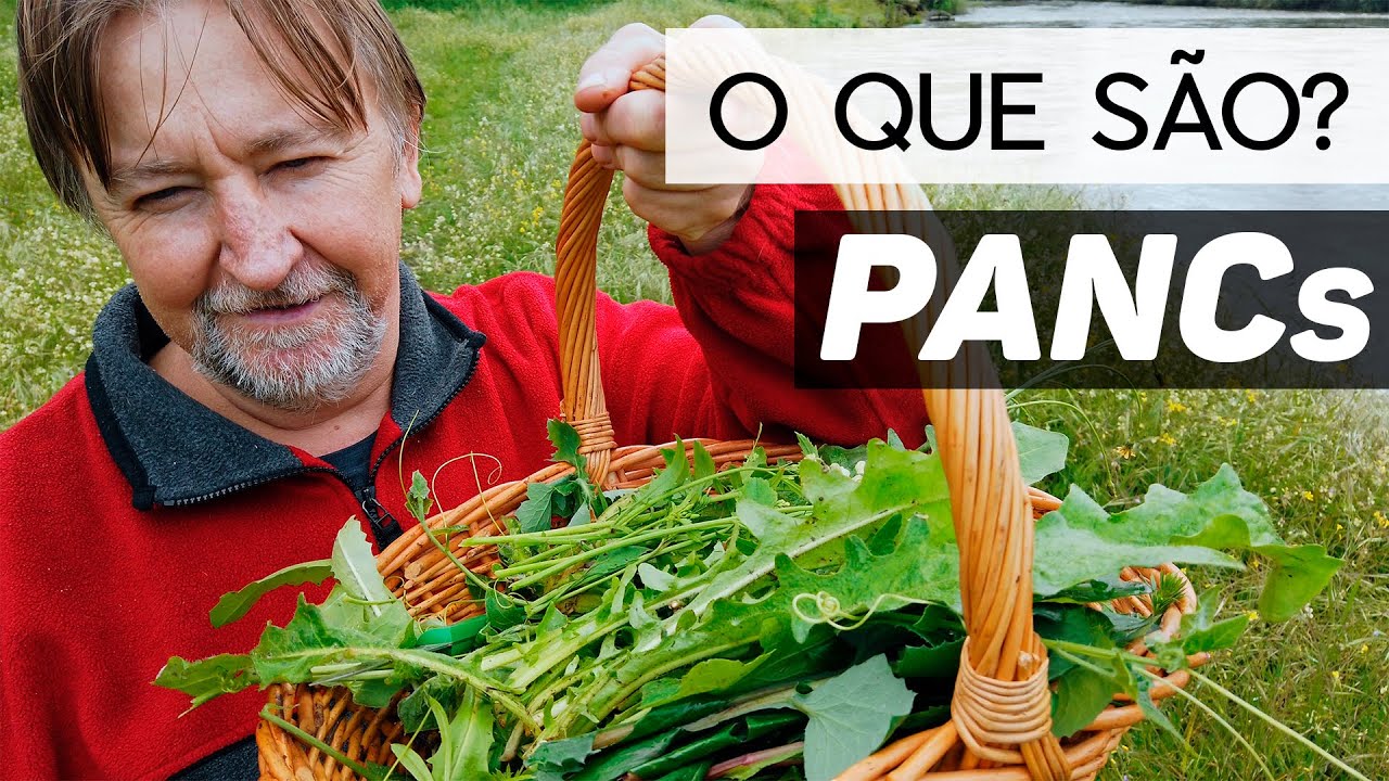 Wild Plants (FORAGING) | At the Chef's Table