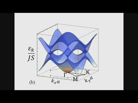 Are Dirac bosons different from Dirac fermions?
