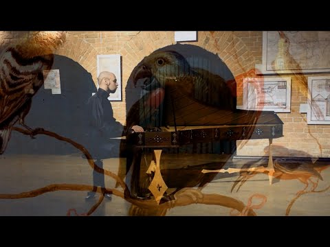 J.-P. Rameau - Le Rappel des Oiseaux | Alexander Stark (baroque clavicimbalum)