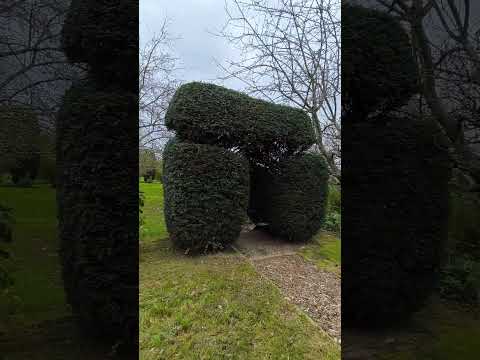 
ACIGNE - Propriété rurale - 2 habitations
 - Video 