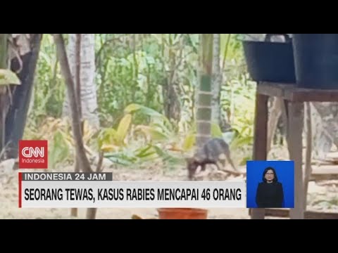 , title : 'Seorang Tewas, Kasus Rabies Mencapai 46 Orang'