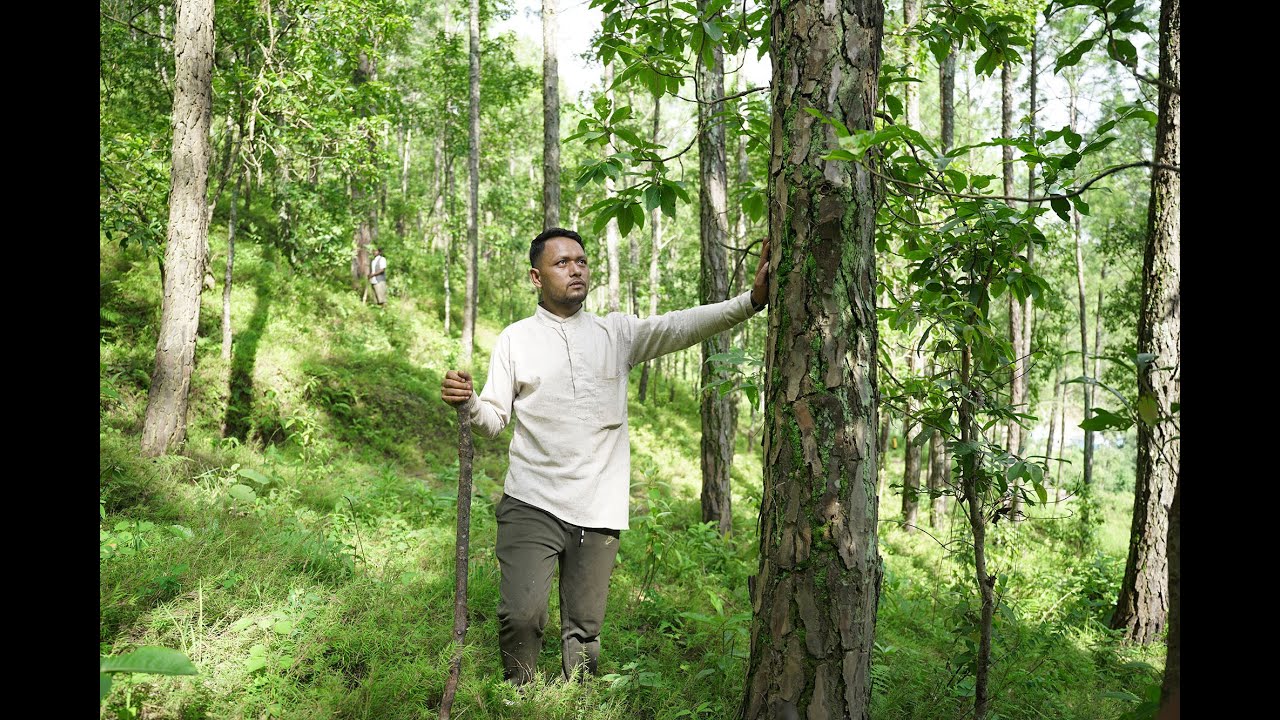Restoring landscapes and livelihoods: Community adaptation in Nepal