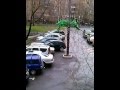 Как это сделано? Пальмы в Москве 