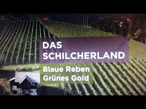 Weinregion Das Schilcherland Steiermark Österreich