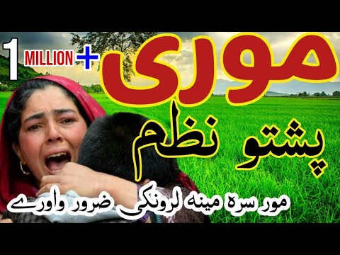 Pashto Nazam Mor 2020 by Unknown