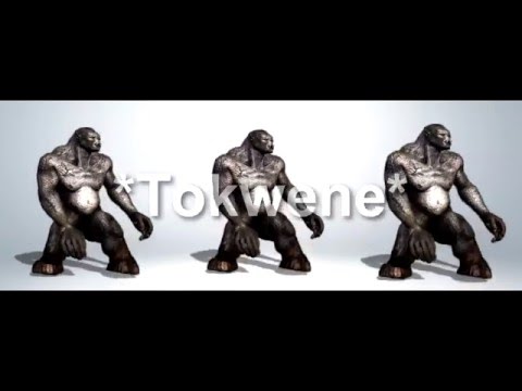 Tokwene - Mamuvona Tokwene (Video Oficial 3D)