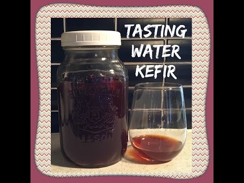 download lagu mp3 mp4 What Does Water Kefir Taste Like, download lagu What Does Water Kefir Taste Like gratis, unduh video klip What Does Water Kefir Taste Like