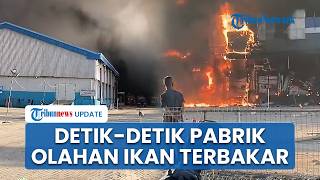 70 Persen Area Pabrik Pengolahan Ikan Dua Putra Pati Terbakar, Aktivitas Produksi Terhenti