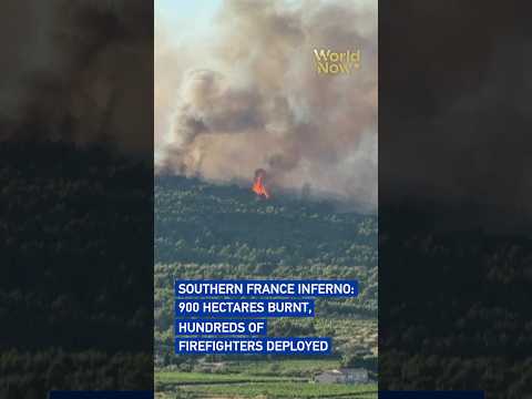 Southern France inferno: 900 hectares burnt, hundreds of firefighters deployed #worldnow