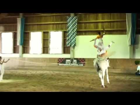 Bayerische Meisterschaften 2015 - Gut Waffenschmiede I (Kür 1)