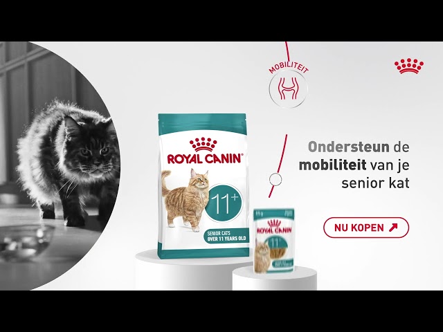 Royal Canin Ageing 11+