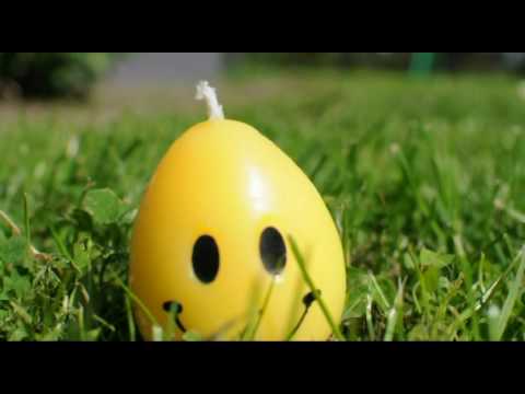 FLYH - Psilocybin disaster