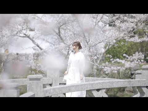 やまぐち映像図鑑 NO.153 吉香公園（桜）［岩国市］ | Yamaguchi Prefectural Art Museum [ Yamaguchi-city ]