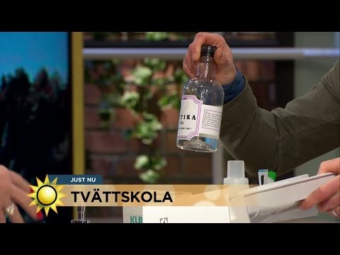 Ättika och citron - för den som vill tvätta rätt - Nyhetsmorgon (TV4)