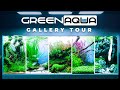GREEN AQUA Gallery Tour 2024 | Cinematic