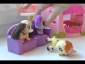 Littlest Pet Shop. Петшопы. LPS. 14 серия .Таинственный ...
