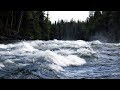 Joan Baez - The River In The Pines  [HD]