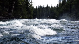 Joan Baez - The River In The Pines  [HD]