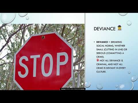 Principles of Sociology: Deviance Jaqueline Leal