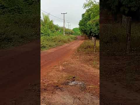 povoado bacuri Peritoró Maranhão