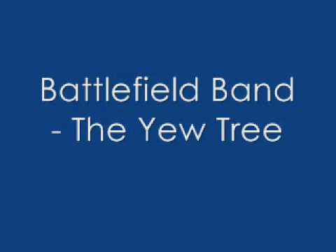 Battlefield Band - The Yew Tree (best quality)