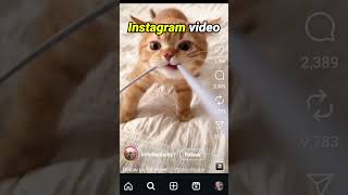 INSTAGRAM REPOSTS how to share someone else's photos videos posts reels to your feed as a repost