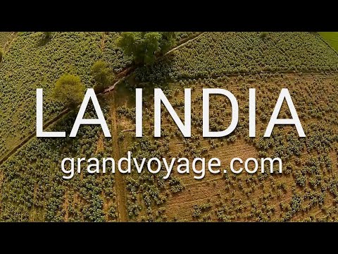 Video de India