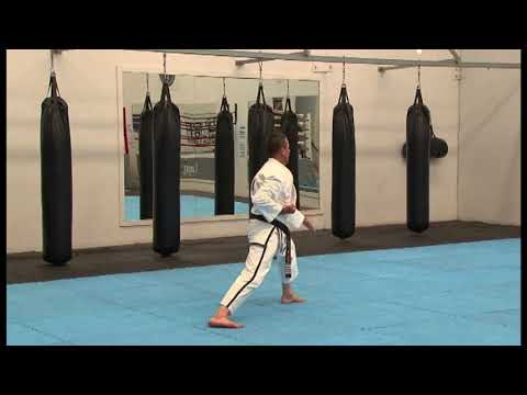 Grade 10 - White Belt Pattern - Saju Makgi (R)