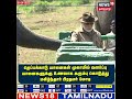 PMModi தெப்பக்காடு யானைகள் முகாமில் வளர்