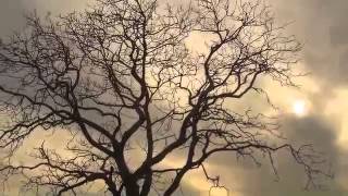 Sixpence None the Richer -You&#39;re Here