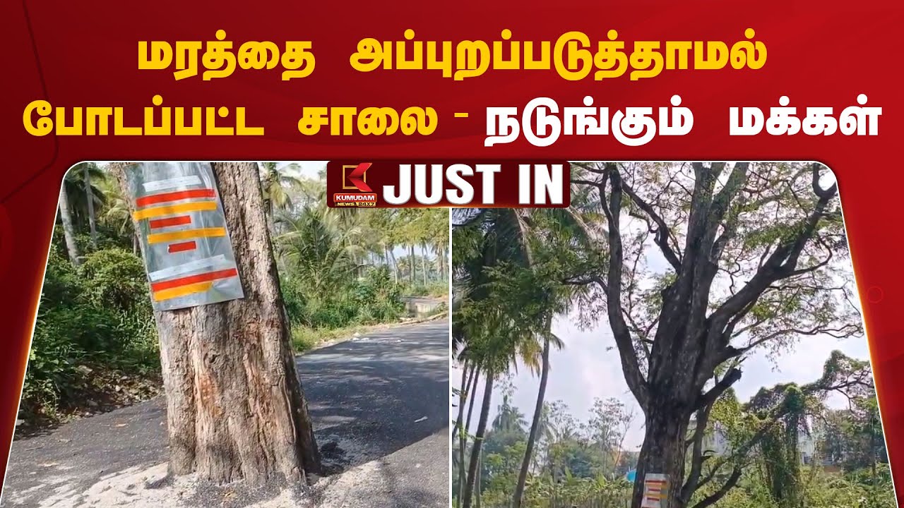 மரத்தை அப்புறப்படுத்தாமல் போடப்பட்ட சாலை - அஞ்சு நடுங்கும் மக்கள்.