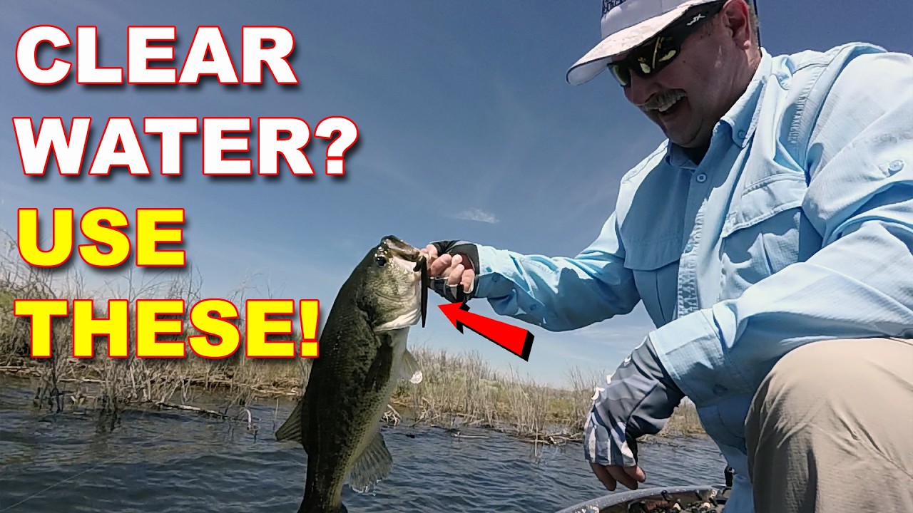 Clear Water Bass Fishing: 5 Lures That Always Work