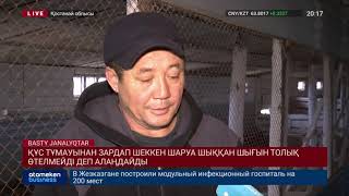 ҚҰС ТҰМАУЫНАН ЗАРДАП ШЕККЕН ШАРУА ШЫҚҚАН ШЫҒЫН ТОЛЫҚ ӨТЕЛМЕЙДІ ДЕП АЛАҢДАЙДЫ