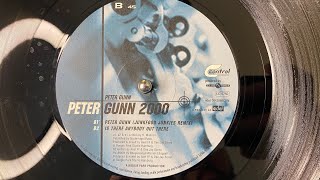 Peter Gunn – Peter Gunn 2000 (Junkfood Junkies Remix) - Control – 0042860CON (1998)
