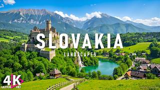 Slovakia 4K – Slovak Paradise National Park, Gorges & Forest Stillness | Relaxing Music