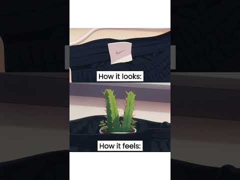 #shorts || ek minute ki shanti 🥲|| #memes