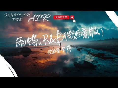 微醺卡帶 - 雨蝶(R&B微醺版)『我向你追 風溫柔的吹』【動態歌詞】