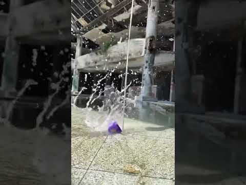 ¿Cómo le llamarías a este truco? 😇