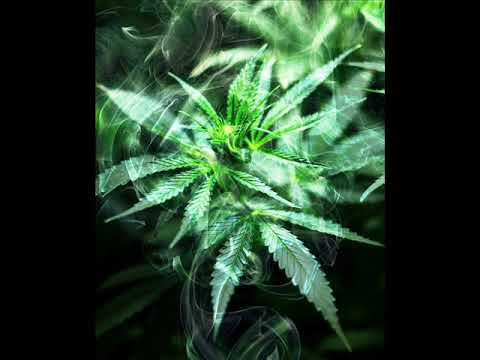 Isma Doction  - Egalize - ( Officiel Clip Audio ) 2019