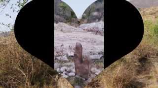 preview picture of video 'ancient ardh-narishwars found'