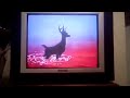 Cierre Vhs Bambi 2005 Argentina