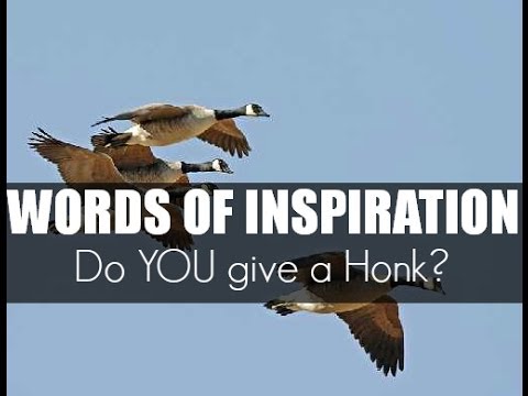 感動の言葉-励ましの言葉-雁がチームワークについて教えてくれること (Words of inspiration - words of encouragement -  What Geese Can Teach Us About Teamwork)