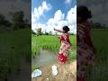 Amazing Hook Fishing In The Village Lady Fish Catching Our Rice Field Canal Hookfishing Shorts