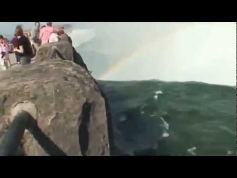 Niagara Falls  accident