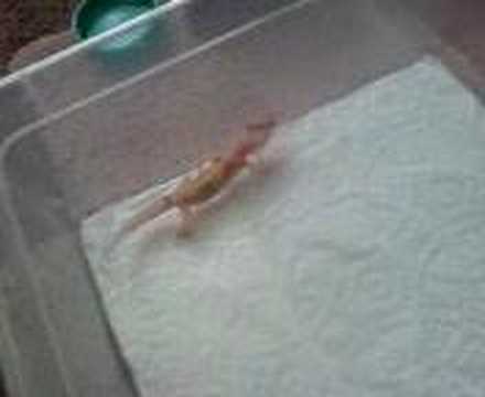 YouTube Video j8s9zX7CBQY