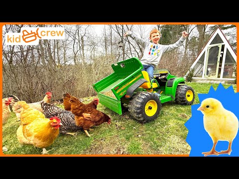 Raising baby chicks for eggs with kids ride on John Deere Gator farm truck. Educational | Kid Crew