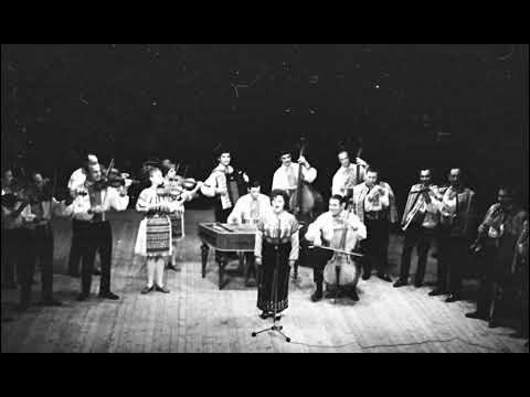 Eudochia Lica - Doarme codrul pe colină